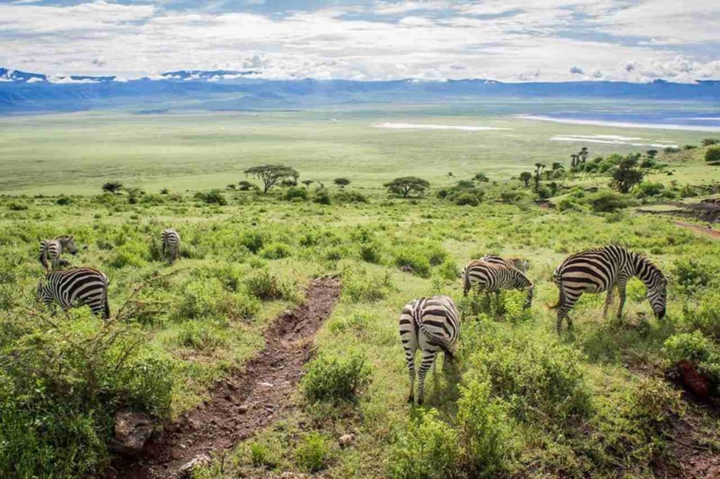 Arusha, Tanzânia