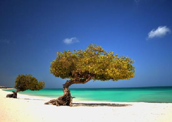 praia em aruba