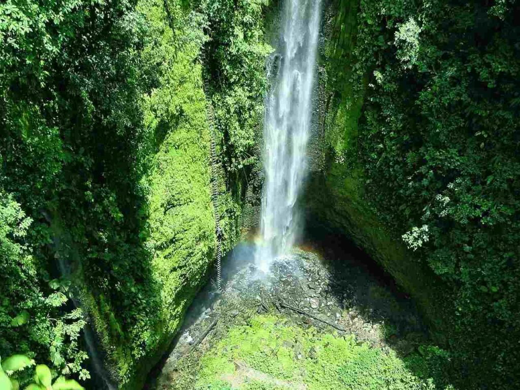 La Fortuna de San Carlos 